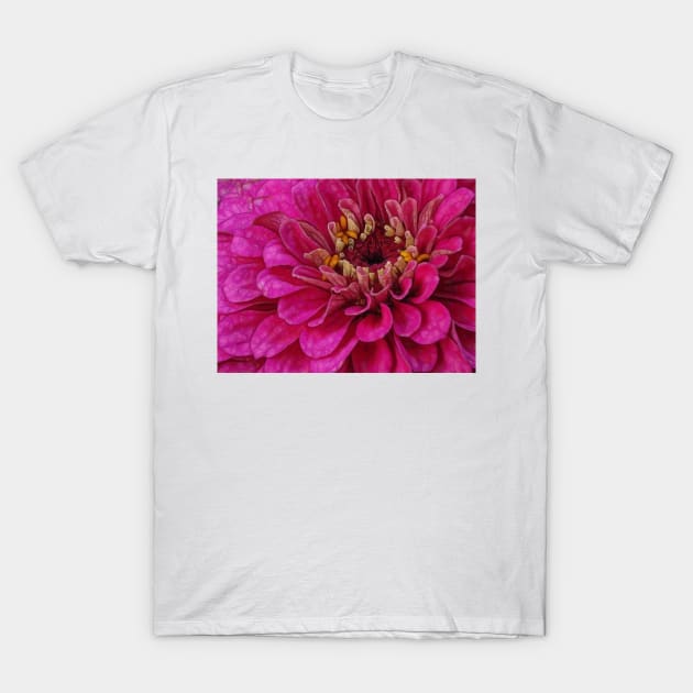 zinnia flower bloom in pink floral fantasy T-Shirt by mister-john